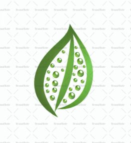 Tautropfen auf einem Blatt